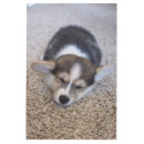 Search for corgi decor Canine