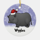 Search for pig ornaments Pet