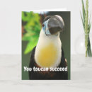 Search for bird pun cards Encouragement