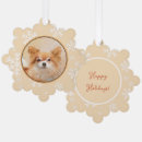 Search for long haired chihuahua ornaments Puppy