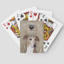 Search for dog playing cards Funny dogs
