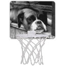 Search for dogs mini basketball hoops White