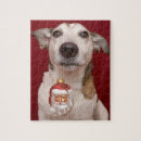 Search for jack russell terrier puzzles Canine