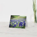 Search for texas thank you cards State of texas