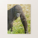 Search for gorilla puzzles Nature