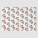 Search for cheetah tissue paper Animal