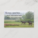 Search for standardbred horse Horses