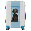 Search for dog luggage Black