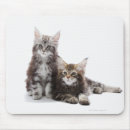 Search for maine coon cat mousepads Cute
