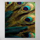 Search for abstract peacock feather art Feathers
