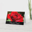 Search for red roses thank you cards Flower