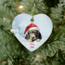 Search for cocker spaniel dog ornaments Puppy