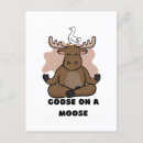 Search for animal postcards Funny animals