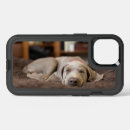 Search for weimaraner iphone cases Puppy