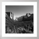 Search for black and white landscape posters Woods