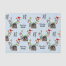 Search for funny tissue paper Humorous