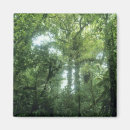 Search for costa rica magnets Landscape