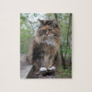 Search for calico cats puzzles Cat photo