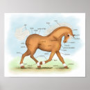 Search for horse posters Equestrian