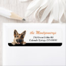 Search for german shepherd dog Animal