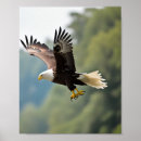 Search for american eagle posters Flying