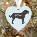 Search for black lab ornaments Pet