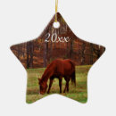 Search for horse lovers gifts I love horses