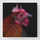 Search for farm clocks Bird