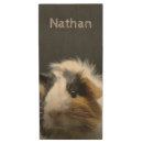 Search for guinea pig memorial Cute