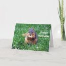 Search for peanut birthday cards Animal