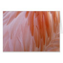 Search for animal note cards Pink