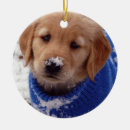 Search for golden retriever ornaments Snow