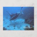 Search for scuba diving gifts Vacation
