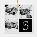 Search for tabby cat ornaments Black and white