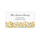 Search for black eyed susan Floral