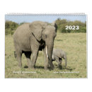 Search for leopard calendars Elephant