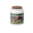 Search for tractor favors Country