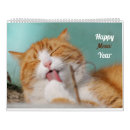 Search for pet calendars Kitty