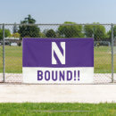 Search for logo banners Northwestern