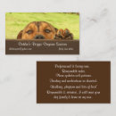 Search for dog day care business cards Doggie daycare