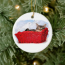 Search for tabby cat ornaments Red