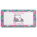 Search for turtle license plates Colorful