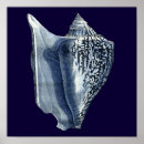 Search for seashell posters Indigo