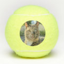 Search for cat tennis balls Kitten