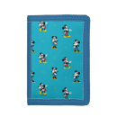 Search for disney wallets Pattern