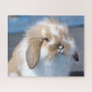 Search for bunny rabbit puzzles Pet