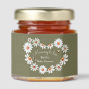 Search for bee favors Daisy