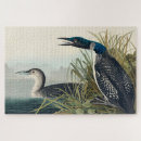 Search for audubon birds puzzles John james audubon
