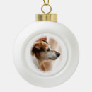 Search for jack russell dog ornaments Animals