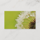 Search for dandelion business cards Photography